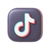 TikTok Content Creator Pro
